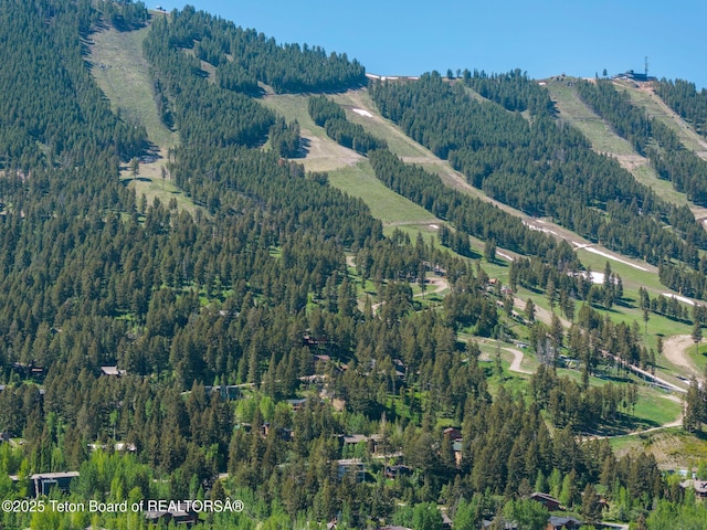 785 Snow King Dr, Jackson, WY 83001 - photo 43