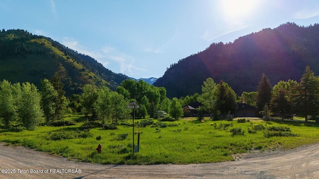 LOT180 Porto Rd, Star Valley Ranch, WY 83127