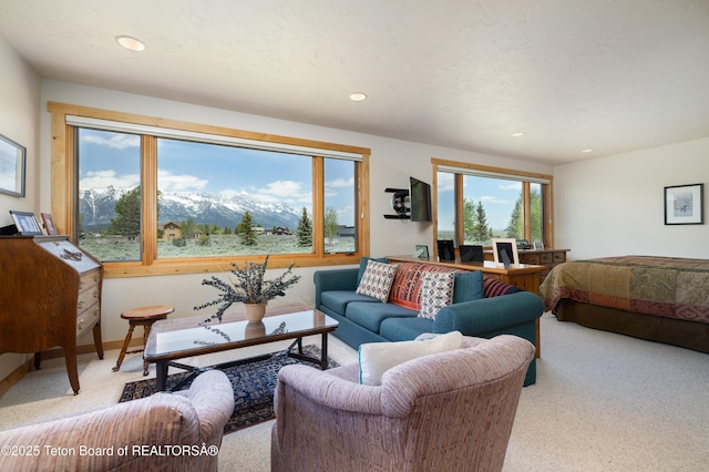 8225 N Spring Gulch Rd, Jackson, WY 83001 - photo 19