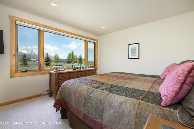 8225 N Spring Gulch Rd, Jackson, WY 83001 - photo 20