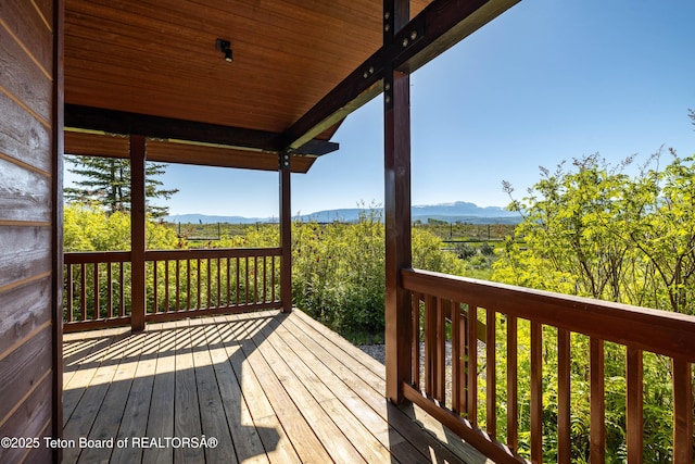 8225 N Spring Gulch Rd, Jackson, WY 83001 - photo 37