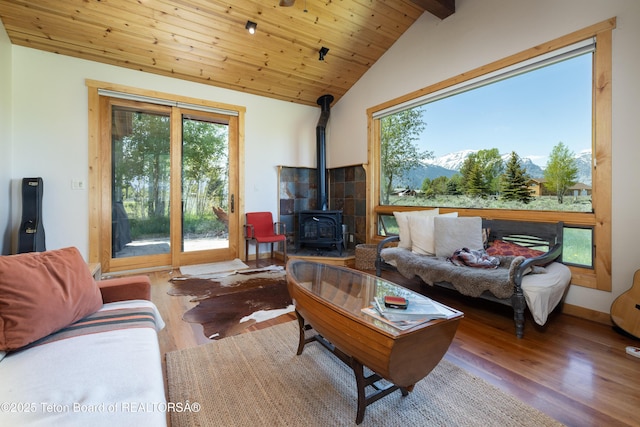 8225 N Spring Gulch Rd, Jackson, WY 83001 - photo 42
