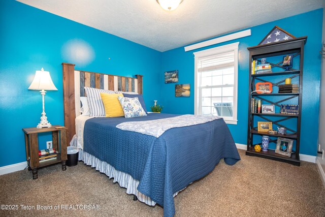 28 Brushwood Dr, Star Valley Ranch, WY 83127 - bedroom with a textured ceiling, carpet flooring, and baseboards