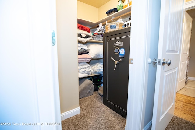 28 Brushwood Dr, Star Valley Ranch, WY 83127 - spacious closet with carpet floors