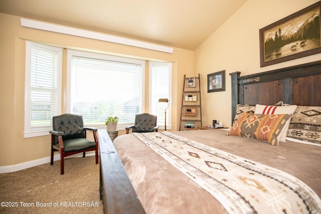 28 Brushwood Dr, Star Valley Ranch, WY 83127 - carpeted bedroom featuring lofted ceiling and baseboards