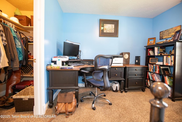 28 Brushwood Dr, Star Valley Ranch, WY 83127 - view of carpeted office