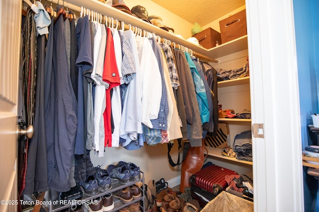 28 Brushwood Dr, Star Valley Ranch, WY 83127 - view of walk in closet