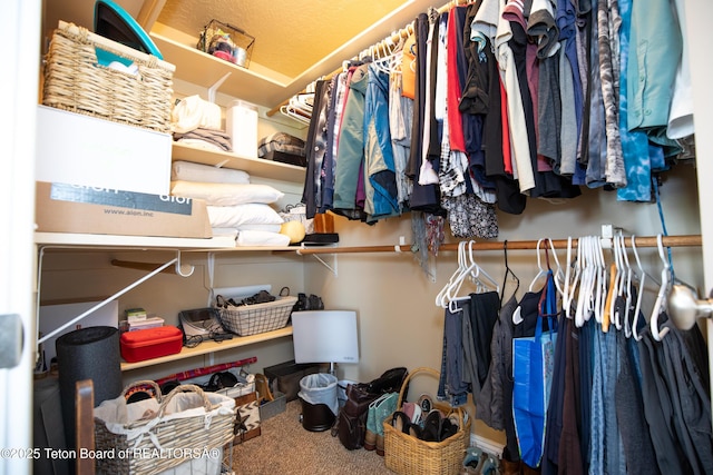 28 Brushwood Dr, Star Valley Ranch, WY 83127 - view of spacious closet