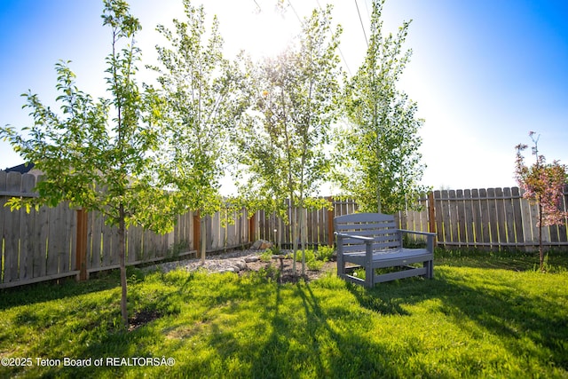 28 Brushwood Dr, Star Valley Ranch, WY 83127 - view of yard