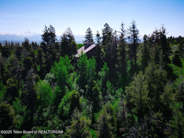 3392 Bainbridge Dr, Tetonia, ID 83452 - drone / aerial view of a forest