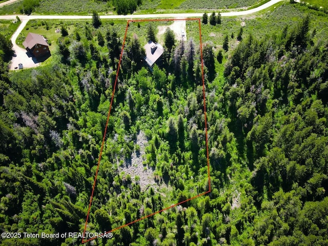 3392 Bainbridge Dr, Tetonia, ID 83452 - aerial view of sparsely populated area with property parcel outlined