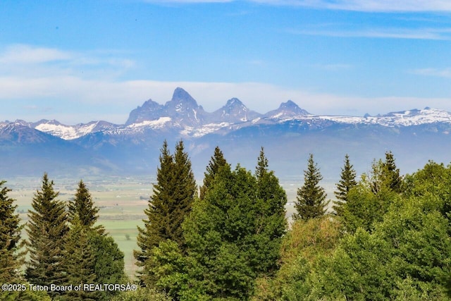 3392 Bainbridge Dr, Tetonia, ID 83452 - mountain view