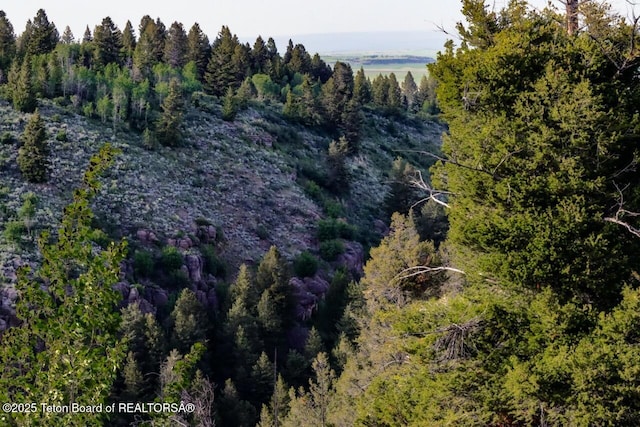 3392 Bainbridge Dr, Tetonia, ID 83452 - aerial overview of property's location with a forest