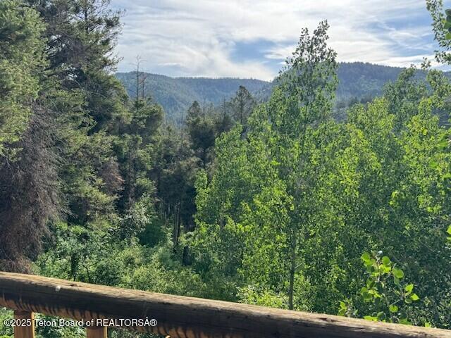 3392 Bainbridge Dr, Tetonia, ID 83452 - mountain view featuring a heavily wooded area