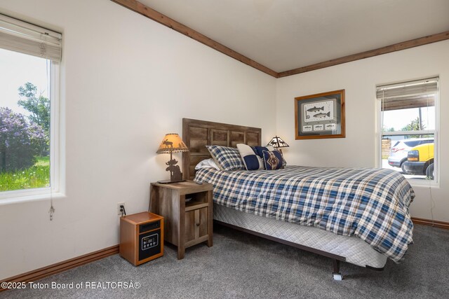 485 E Little Ave, Driggs, ID 83422 - carpeted bedroom with baseboards and crown molding