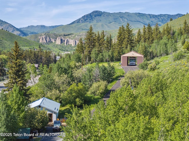 9950 S Hwy 89, Jackson, WY 83001 - photo 1