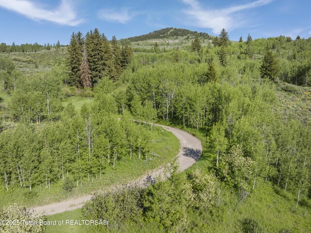 9950 S Hwy 89, Jackson, WY 83001 - photo 44