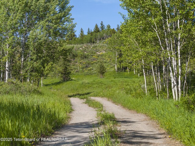 9950 S Hwy 89, Jackson, WY 83001 - photo 45