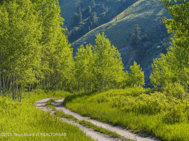 9950 S Hwy 89, Jackson, WY 83001 - photo 46