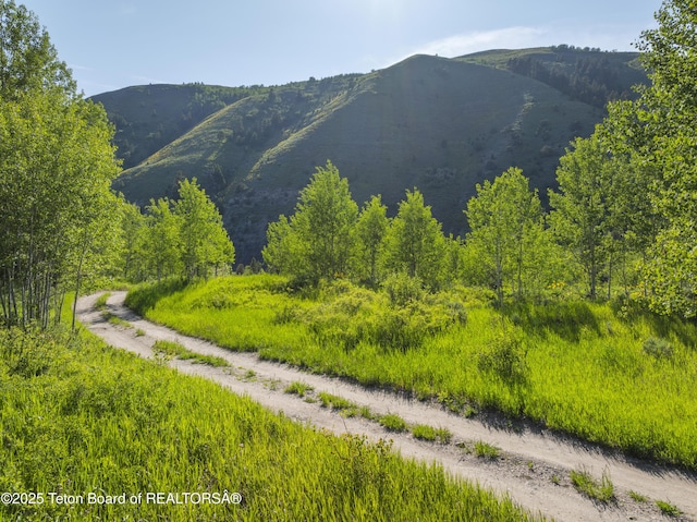 9950 S Hwy 89, Jackson, WY 83001 - photo 47