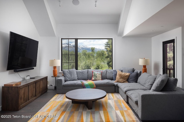 185 S Swan Rd, Jackson, WY 83001 - view of living area