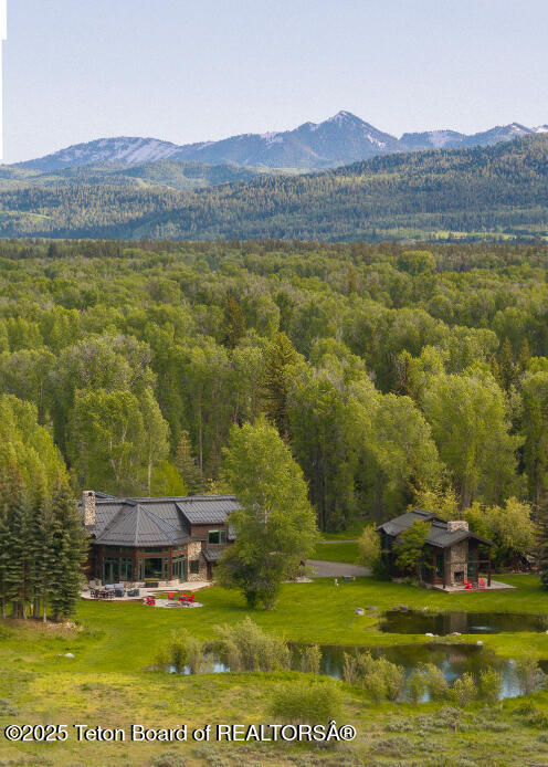 185 S Swan Rd, Jackson, WY 83001 - view of mountain backdrop featuring a heavily wooded area and a nearby body of water
