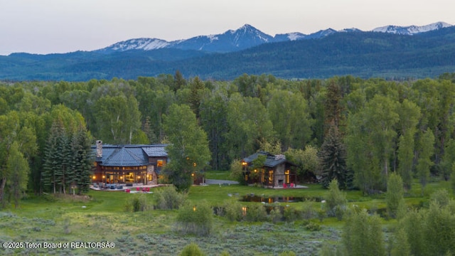185 S Swan Rd, Jackson, WY 83001 - view of mountain background featuring a forest