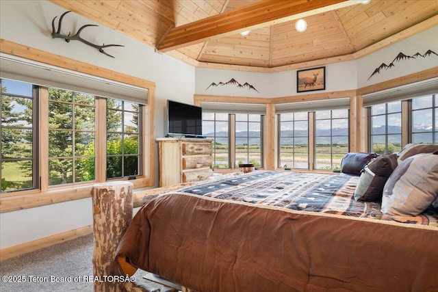 2321 S 3500 W, Driggs, ID 83422 - bedroom featuring wood ceiling, carpet, and high vaulted ceiling