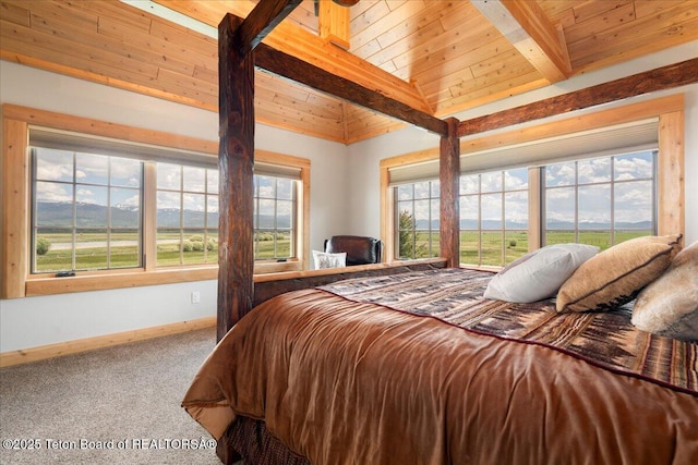 2321 S 3500 W, Driggs, ID 83422 - carpeted bedroom with baseboards and wood ceiling