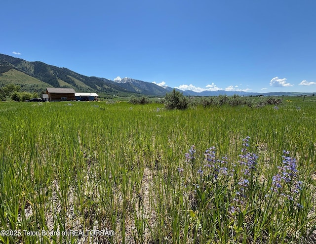 LOT41 Bonneville Rd, Star Valley Ranch, WY 83127