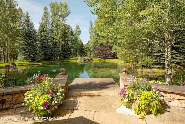 dock area featuring a water view and a view of trees
