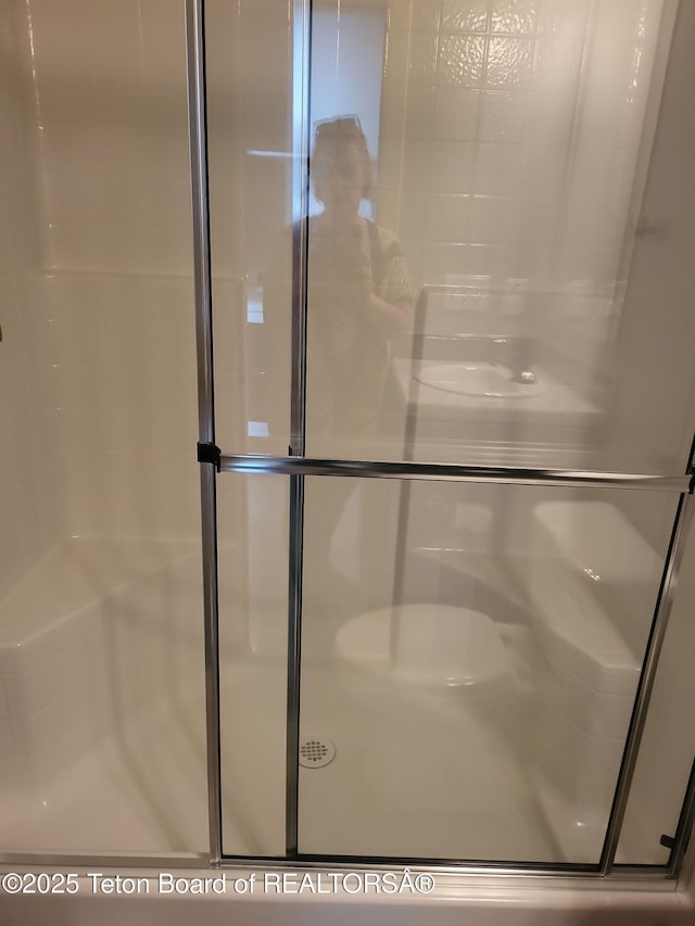 360 Wooden Spur Dr, Alpine, WY 83128 - bathroom featuring a stall shower