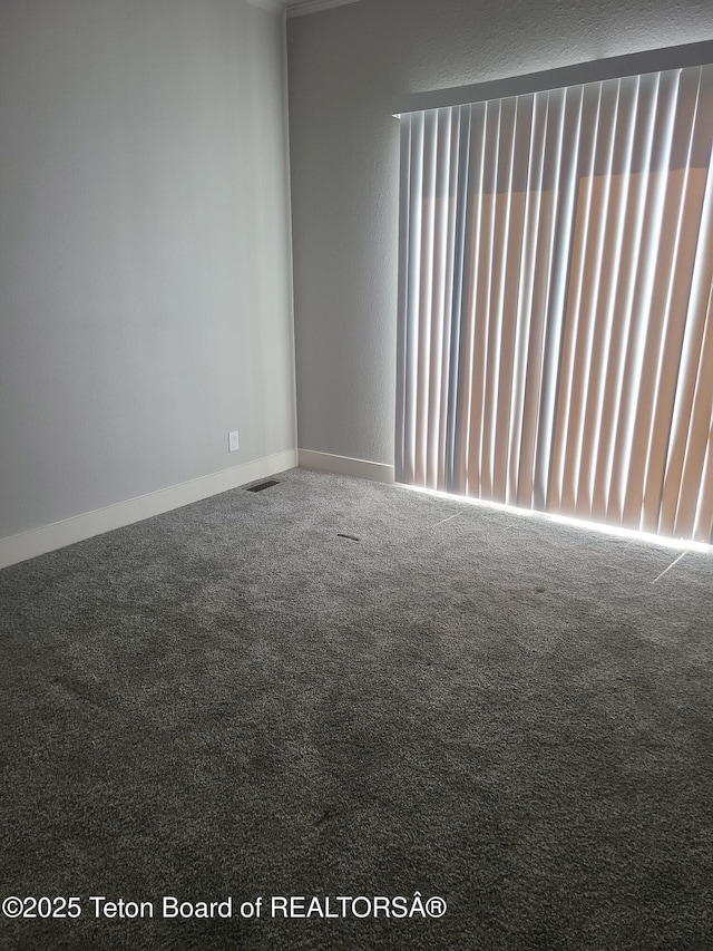 360 Wooden Spur Dr, Alpine, WY 83128 - carpeted empty room featuring healthy amount of natural light