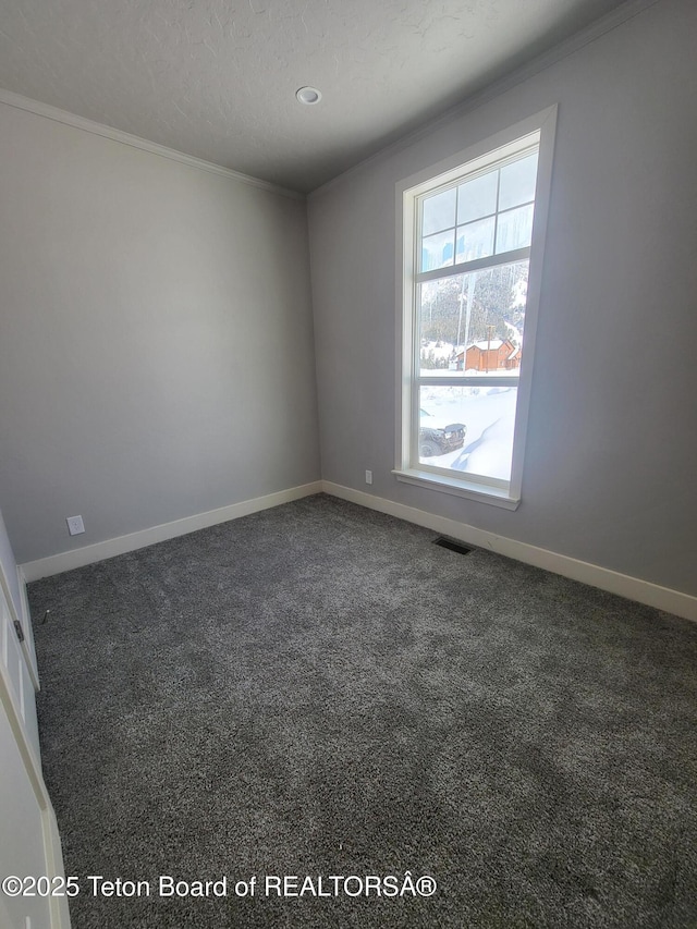 360 Wooden Spur Dr, Alpine, WY 83128 - unfurnished room featuring ornamental molding and carpet