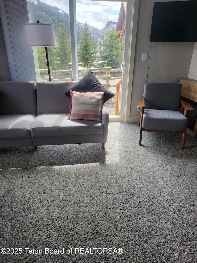 360 Wooden Spur Dr, Alpine, WY 83128 - living room featuring carpet floors