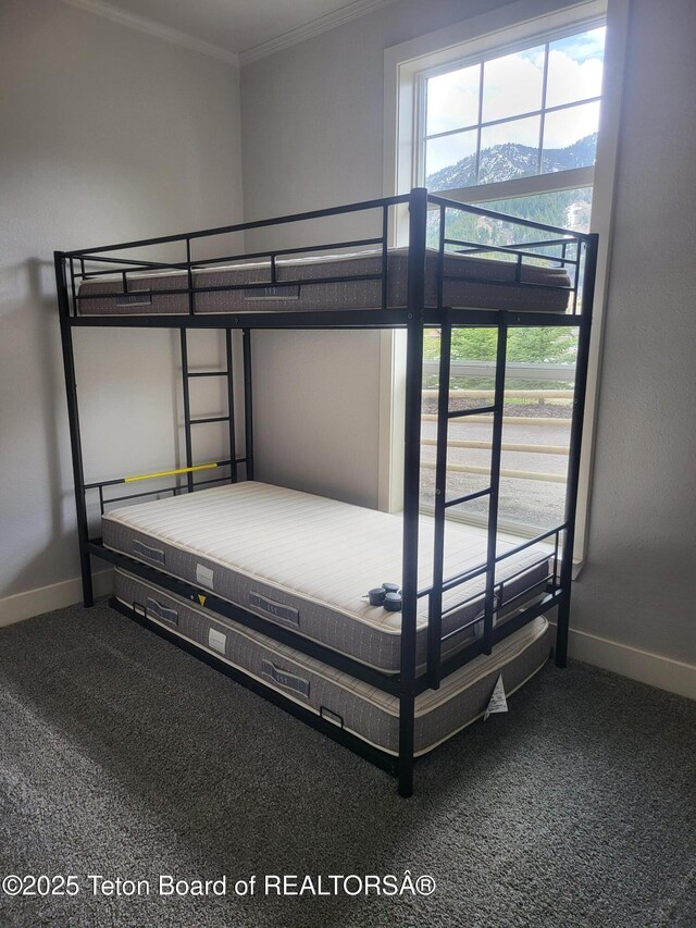 360 Wooden Spur Dr, Alpine, WY 83128 - unfurnished bedroom with carpet, crown molding, and a mountain view