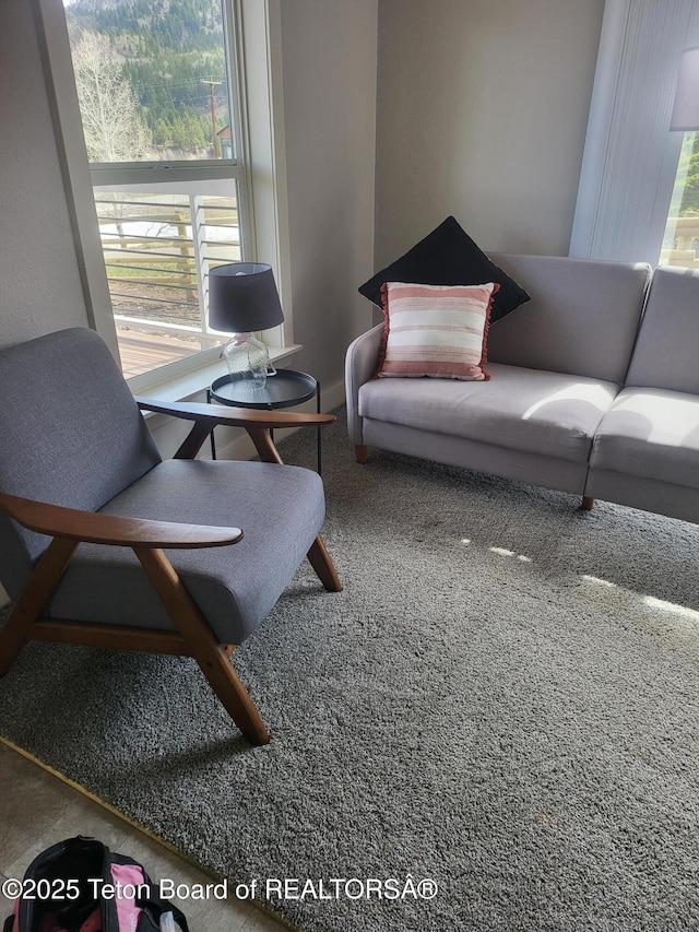 360 Wooden Spur Dr, Alpine, WY 83128 - living room with carpet