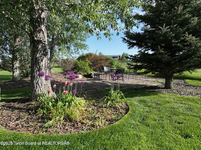 876 Wild Cat Canyon Loop, Driggs, ID 83422 - photo 4