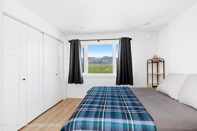 315 Meyers St, Thayne, WY 83127 - bedroom featuring light wood-style floors and a closet