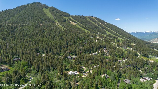 759 Keats Grv, Jackson, WY 83001 - photo 6