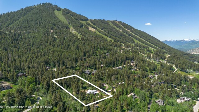 759 Keats Grv, Jackson, WY 83001 - photo 7