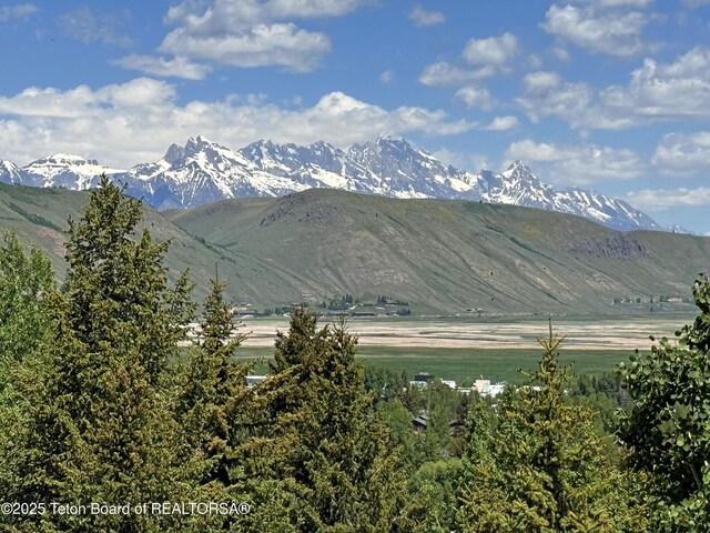 759 Keats Grv, Jackson, WY 83001 - photo 4