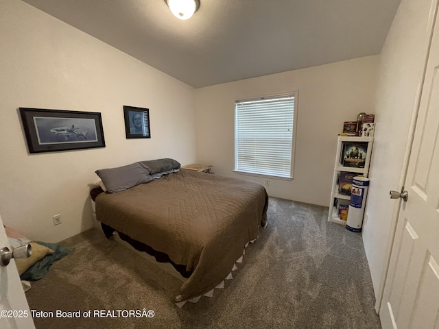 350 Worton Ln, Auburn, WY 83111 - bedroom featuring carpet floors and vaulted ceiling