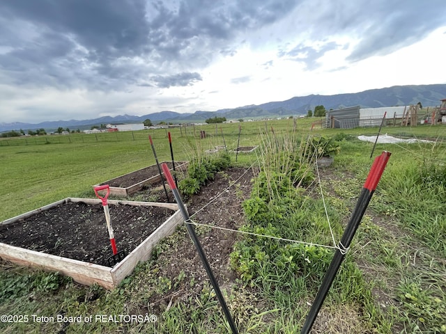 350 Worton Ln, Auburn, WY 83111 - view of yard with a vegetable garden, a view of countryside, and a mountain view