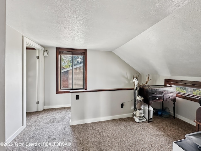 566 Jefferson St, Afton, WY 83110 - carpeted office featuring a textured ceiling, plenty of natural light, and lofted ceiling