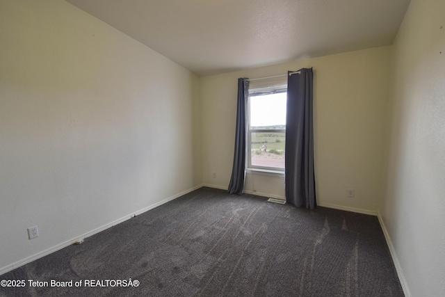 111 Looney Ln, Pinedale, WY 82941 - photo 43