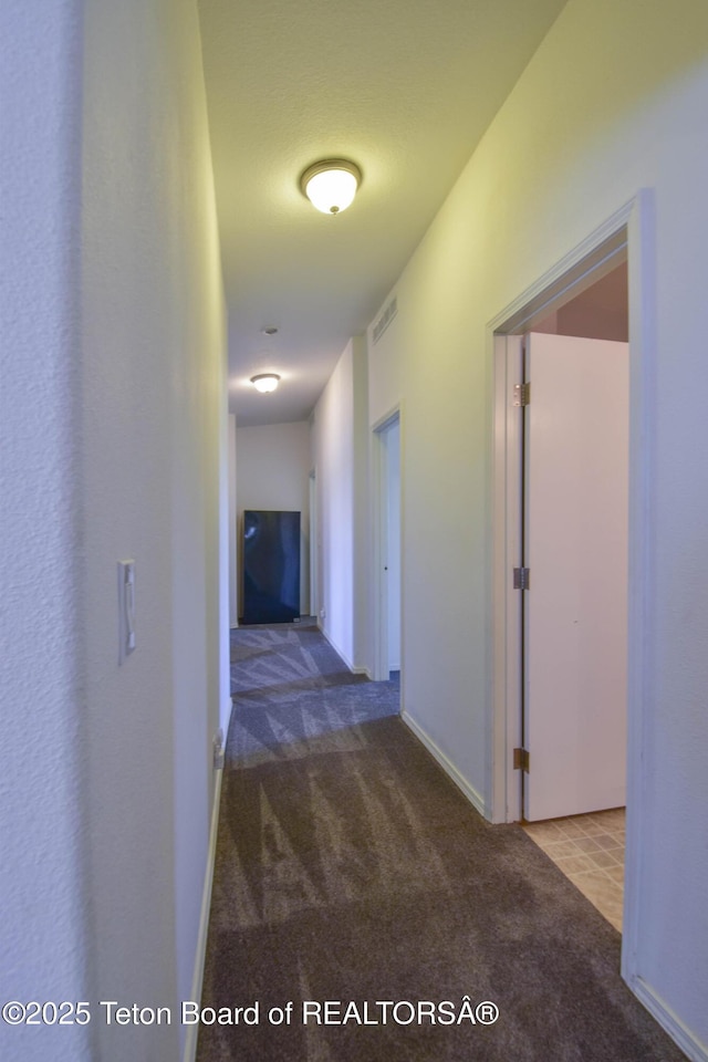 111 Looney Ln, Pinedale, WY 82941 - photo 35
