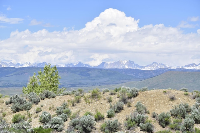 111 Looney Ln, Pinedale, WY 82941 - photo 64