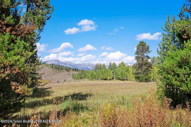 3625 W Highland Trl, Wilson, WY 83014