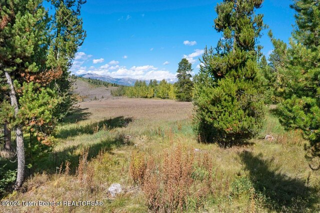 3625 W Highland Trl, Wilson, WY 83014